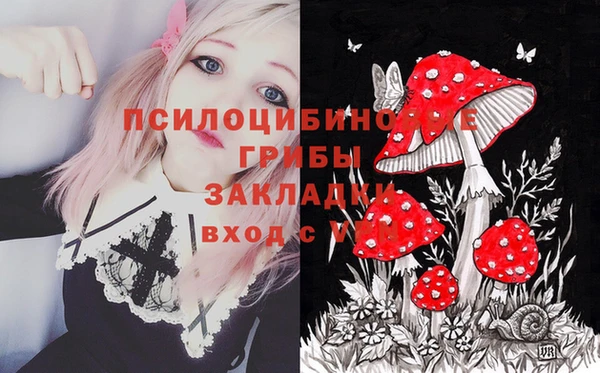 spice Балабаново